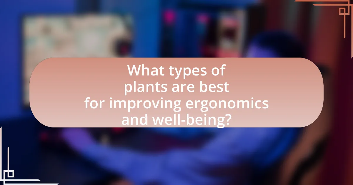 What types of plants are best for improving ergonomics and well-being?