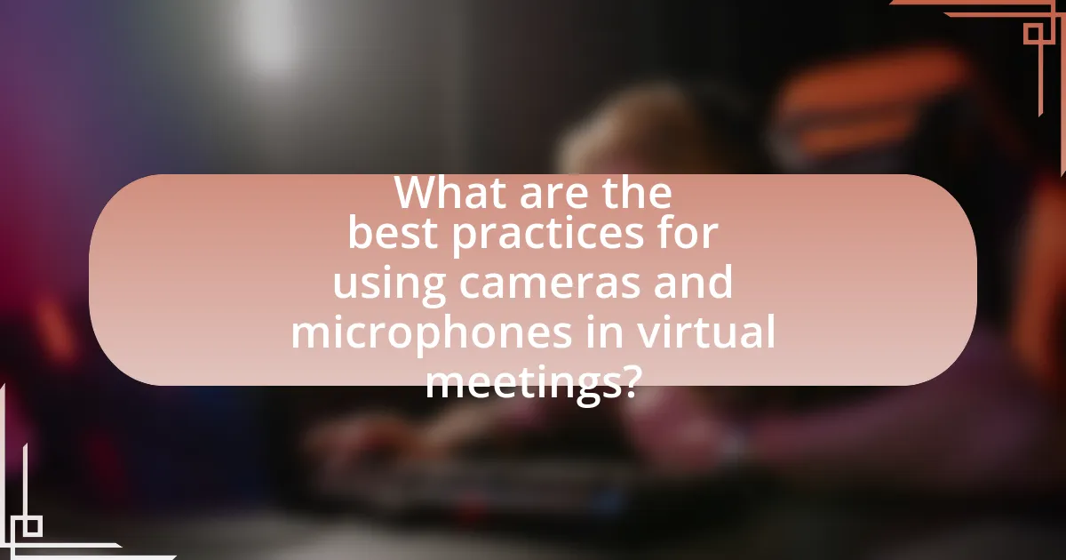 What are the best practices for using cameras and microphones in virtual meetings?